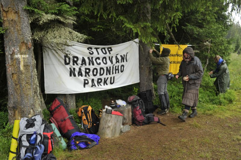 Blokáda lesa, proti které zasahovala policie v roce 2011.
