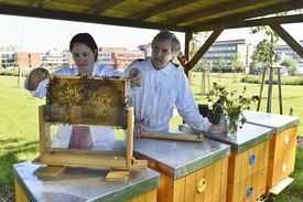 Na snímku vědekyně Radmila Čapková Frydrychová a mikrobiolog Václav Krištůfek u včelínu.