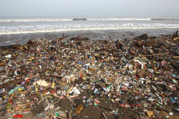 V roce 2050 bude v oceánech více tun plastů než tun ryb.