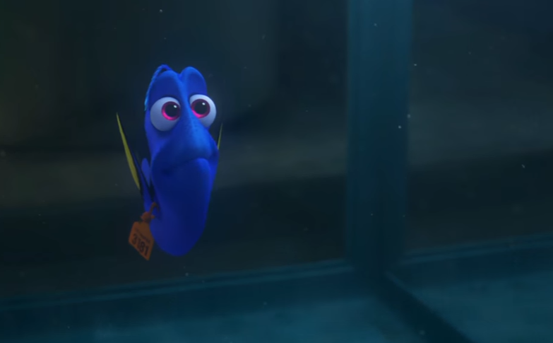 Scéna z filmu Hledá se Dory.