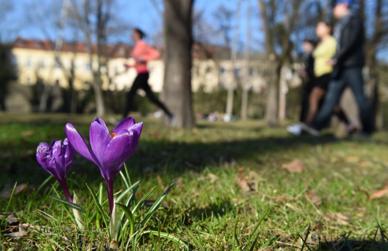 Bezručovy sady v Olomouci. Bezručovy sady v Olomouci.