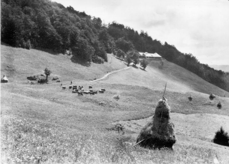 Podkarpatská Rus byla součástí Československa od roku 1919 (historické foto). Podkarpatská Rus byla součástí Československa od roku 1919 (historické foto).
