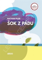 Kniha Šok z pádu.