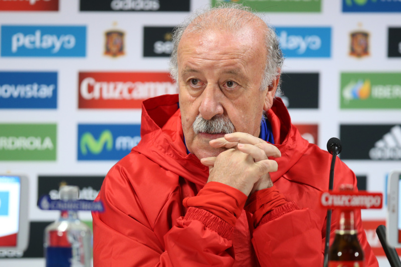Trenér Vicente del Bosque.
