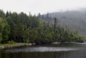 Šumava.
