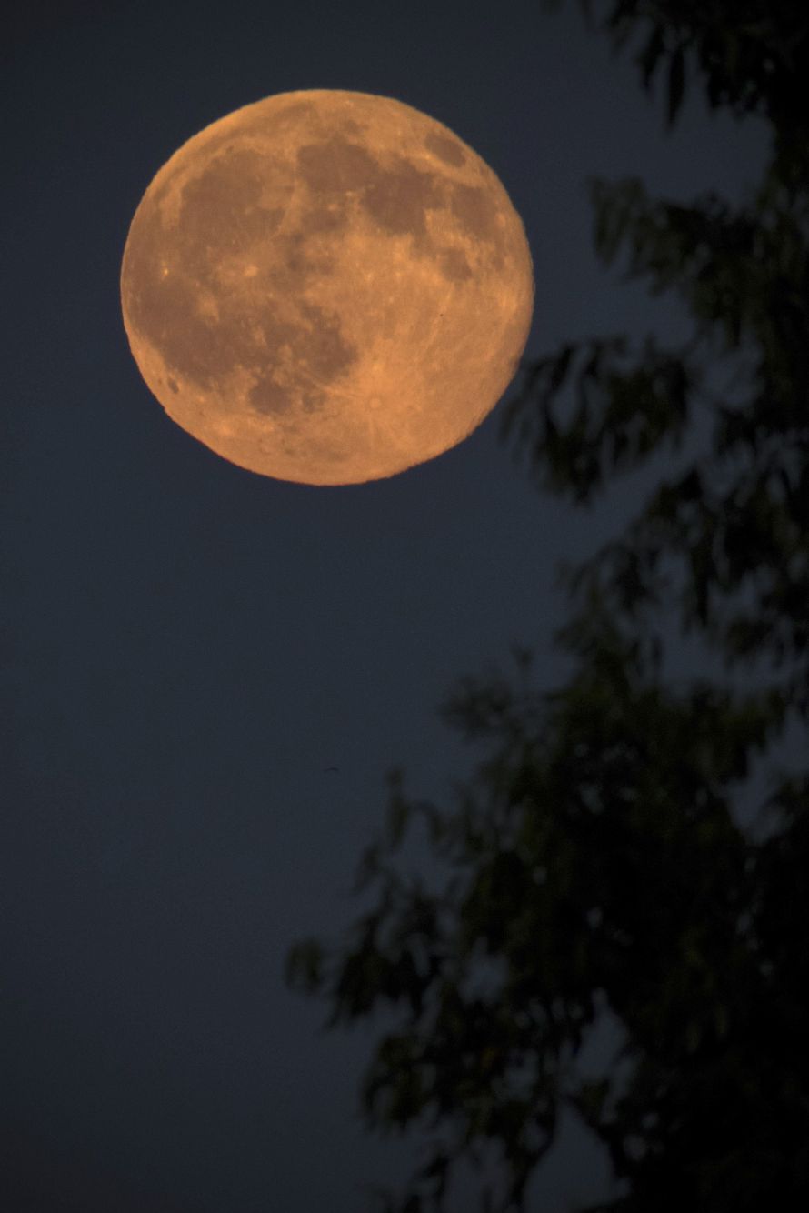 Ilustrační foto.