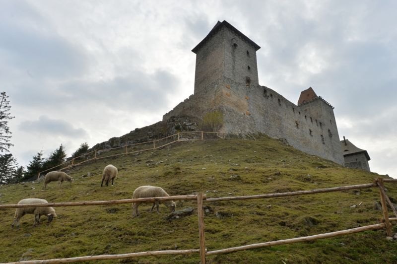 Hrad Kašperk. Hrad Kašperk.