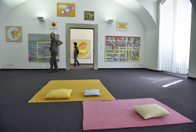 Na snímku je výstava Vladimíra Havlíka v Muzeu regionu Boskovicka.