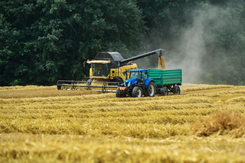 Loni středočeští zemědělci sklidili asi 1,7 milionu tun obilovin, letos to bude obdobné. Loni středočeští zemědělci sklidili asi 1,7 milionu tun obilovin, letos to bude obdobné.