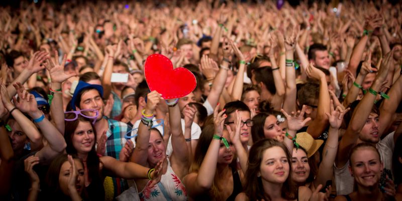 Návštěvníci festivalu. Návštěvníci festivalu.