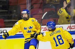 Švédský hokejista Alexander Nylander.