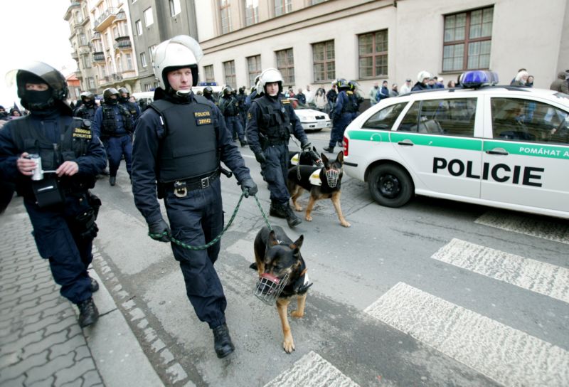 Služební psi jsou nepostradatelnými pomocníky při vyprošťování lidí ze sutin či při hledání pohřešovaných dětí.