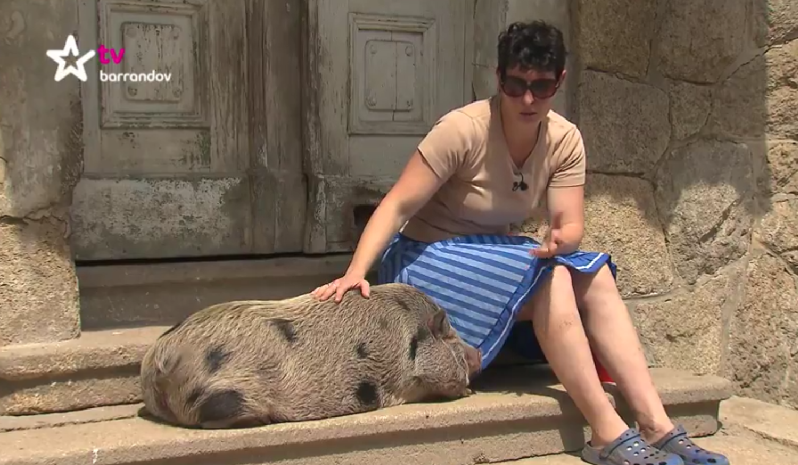 Naše zprávy. 