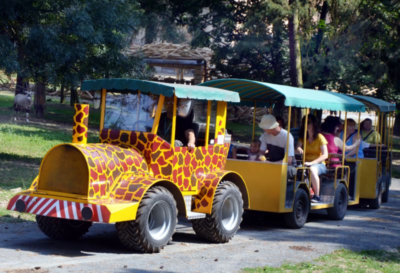 V areálu zlínské zoo zranil turistický vláček čtyři návštěvníky (ilustrační foto).