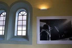 Expozice Tomáše Bachury - Genesis.