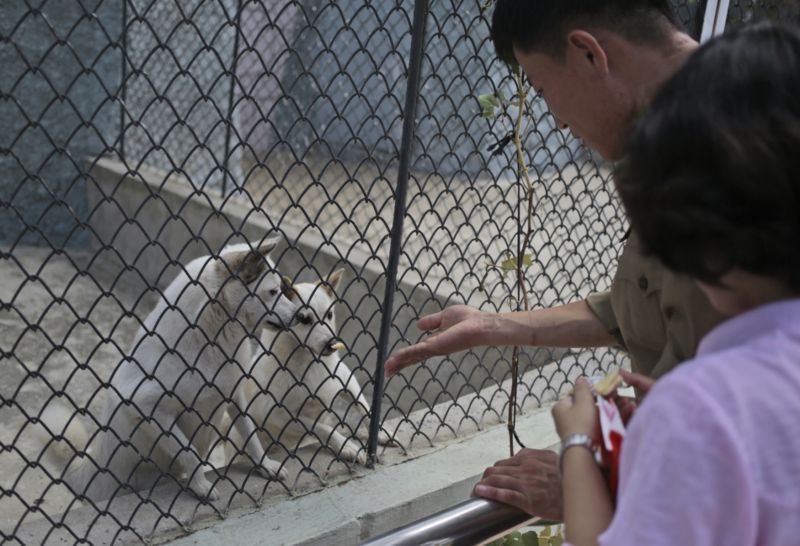 Psy severokorejské zoo daroval sám vůdce KLDR Kim Čong-un.