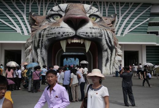 Centrální zoo v Pchjongjangu založil v roce 1959 Kim Ir-sen, první severokorejský vůdce a dědeček Kim Čong-una.