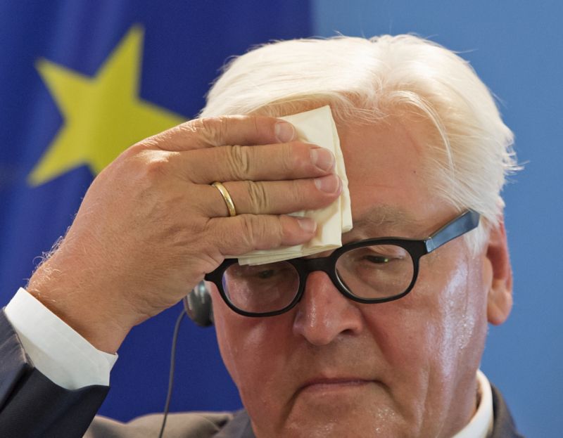 Šéf německé diplomacie Frank-Walter Steinmeier.