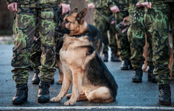 Německá armáda označila 22 vojáků za islamisty (ilustrační foto).