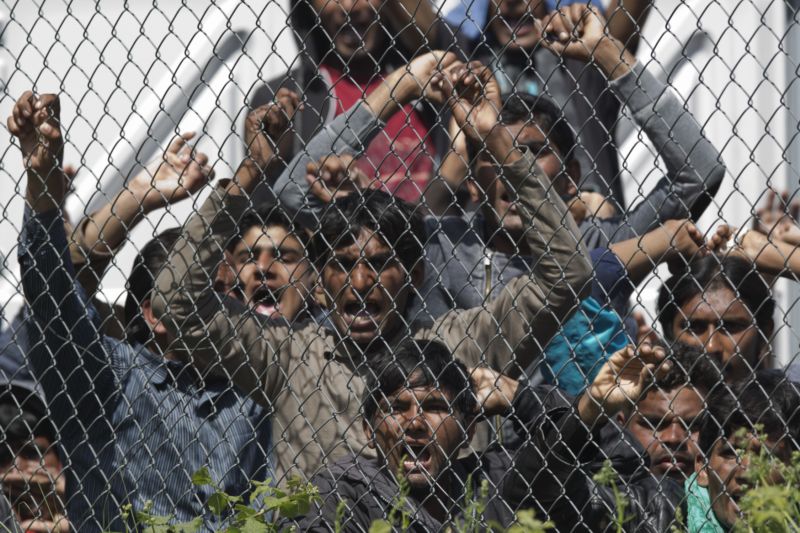 Migrace.