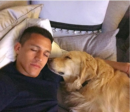 Odpolední šlofíček se svým kamarádem si dopřává Alexis Sanchez.