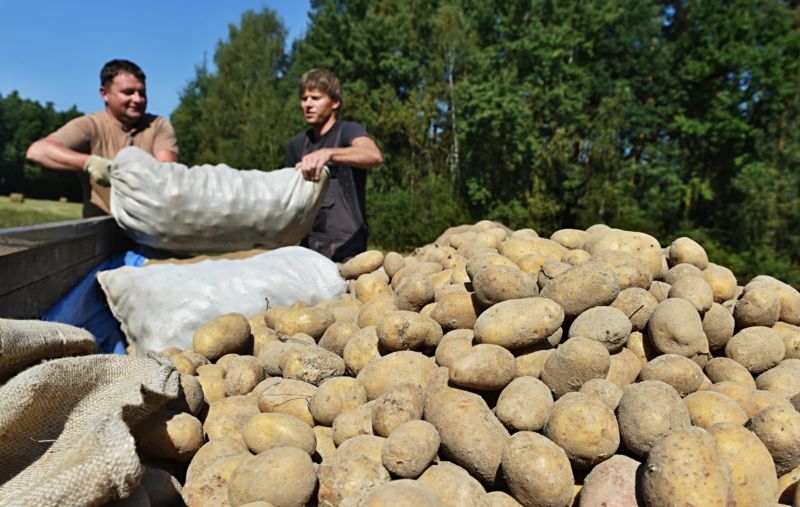 Zájem o sociální úvěry je zejména u menších farem a hospodářství malý.