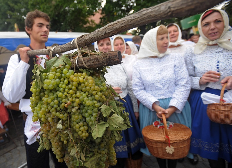 Vinařské svátky na Slovácku. 