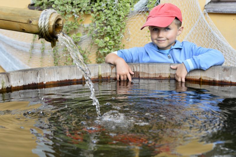 Nová expozice v plzeňské zoo nese název Mokrý svět.