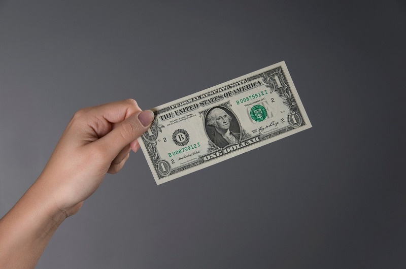 Dolar (ilustrační foto). 