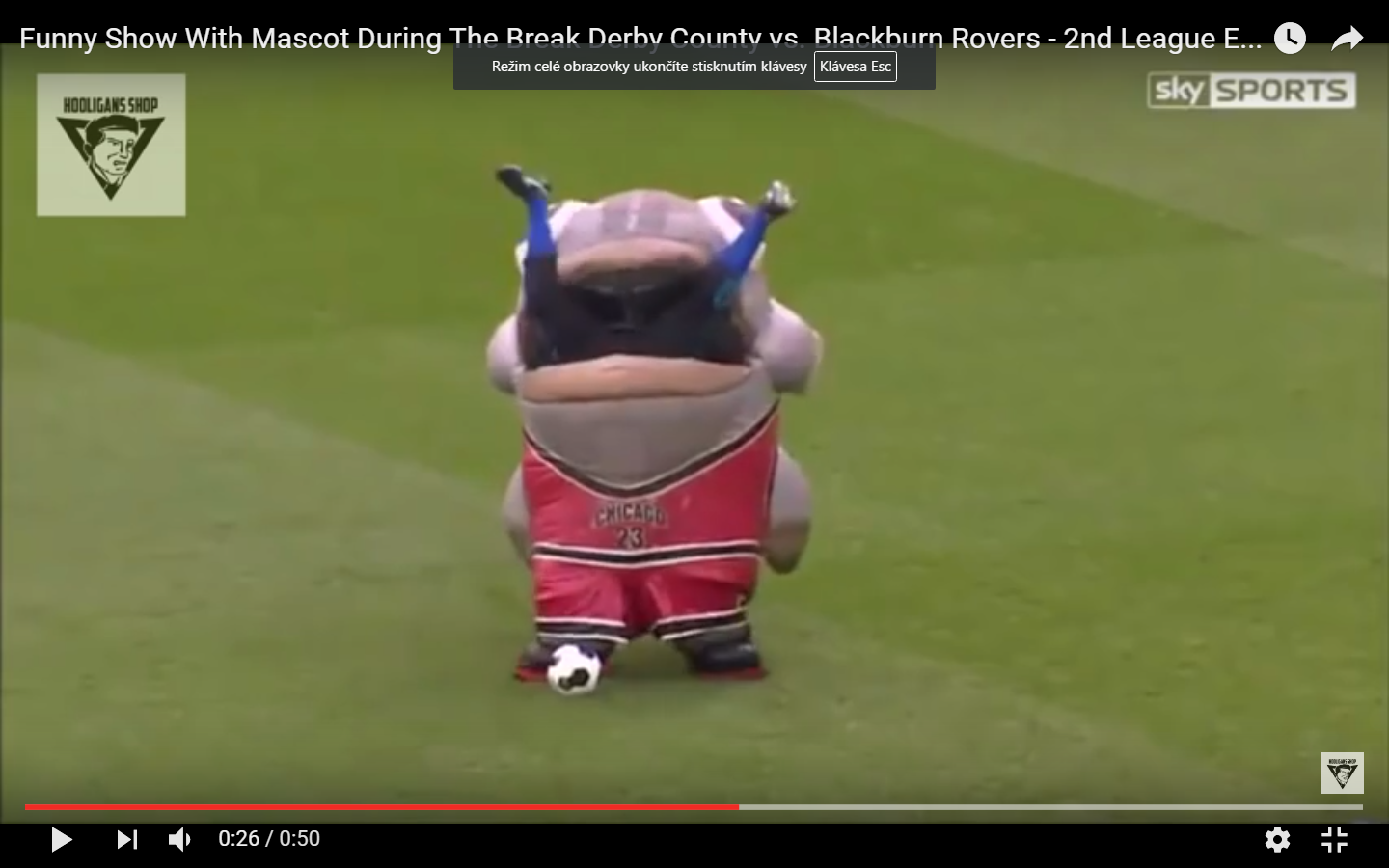 Maskot sežral trenéra Derby County. Maskot sežral trenéra Derby County.
