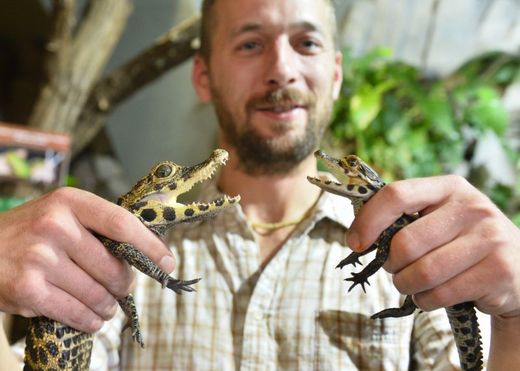 Čtyřicetiletá samice nakladla letos 18 vajec.