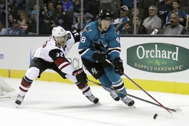 Gólem se v přípravě NHL prezentoval i Tomáš Hertl.