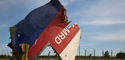Trosky sestřeleného letadla letu MH17.