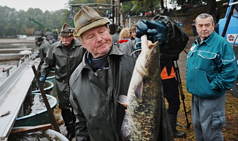 Rybář (ilustrační foto).
