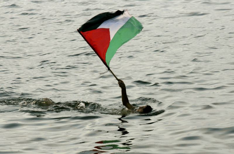 Plavec s palestinskou vlajkou (ilustrační foto).