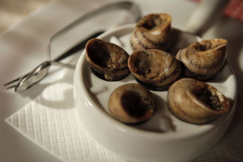Návštěvníci gastro festivalu ochutnají i šneky či brouky. Návštěvníci gastro festivalu ochutnají i šneky či brouky.