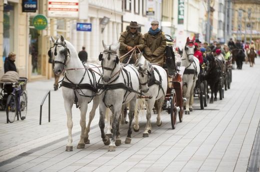 Letos se koná již 126. ročník Velké Pardubické.