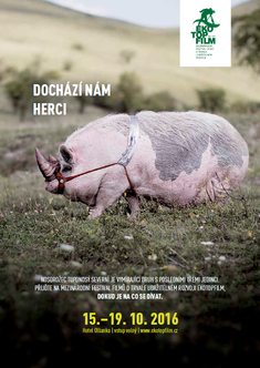 Plakát k festivalu.