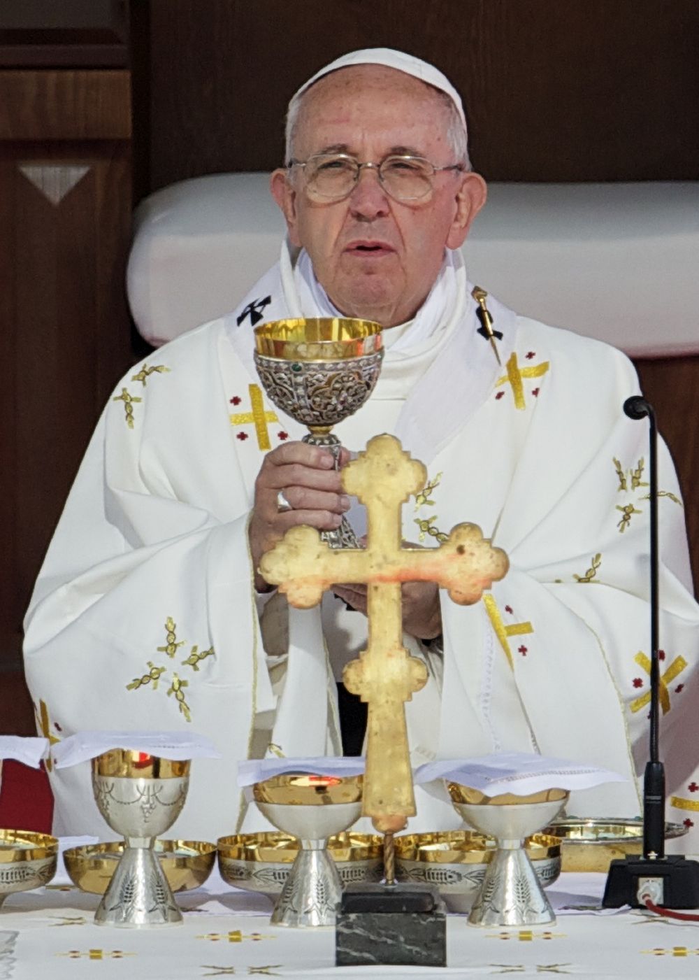 Papež František.