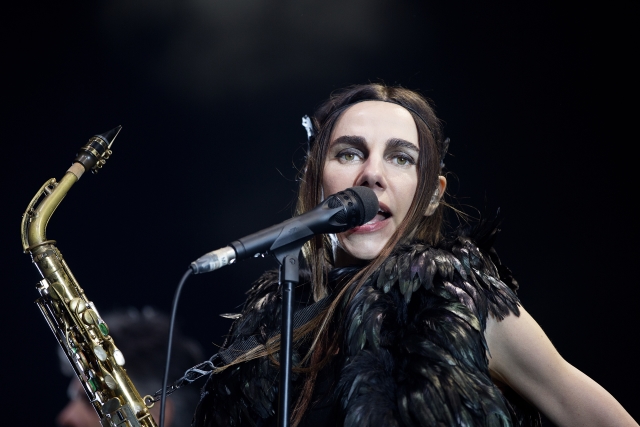 Zpěvačka PJ Harvey. Zpěvačka PJ Harvey.