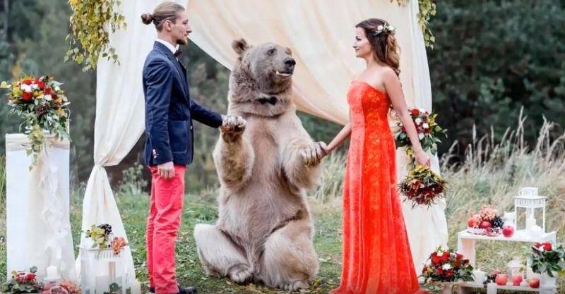 Medvěd Štěpán pózoval s novomanželi na jejich svatebních fotografiích.