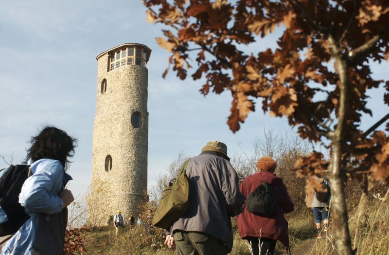 Rozhledna Brdo od architekta Svatopluka Sládečka. 