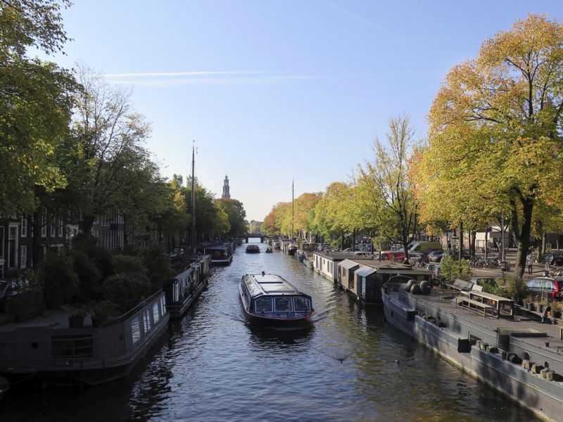 Jen v Amsterdamu, který má sedm různých biotopů, žije čtvrtina všech živočišných druhů zjištěných na území Nizozemska.