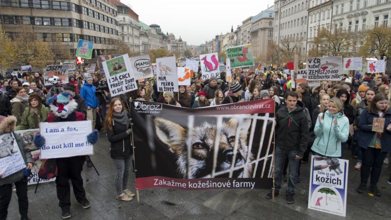 Protesty v Praze.
