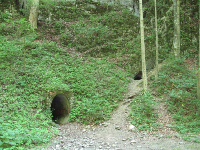 Amatérská jeskyně, vstup z Pustého žlebu. Amatérská jeskyně, vstup z Pustého žlebu.