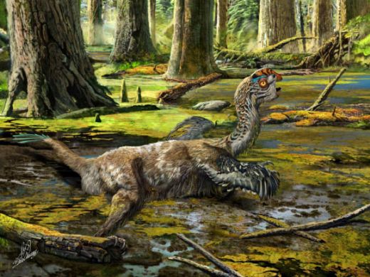 Neznámý dinosaurus dostal jméno Tongtianlong limosus.