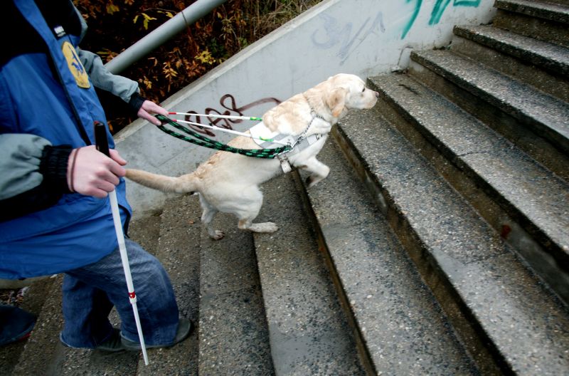 Ilustrační foto.