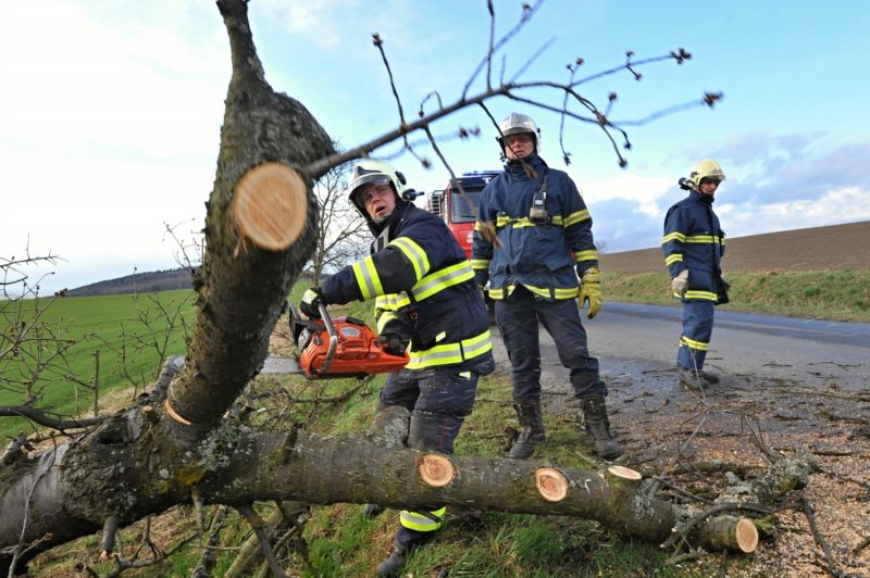 Hasiči likvidují padlý strom omezující dopravu.