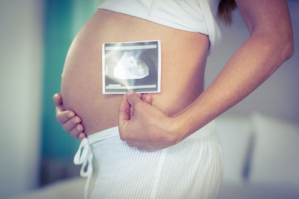 Vědkyně se zaměřuje na oblast reprodukční embryologie.