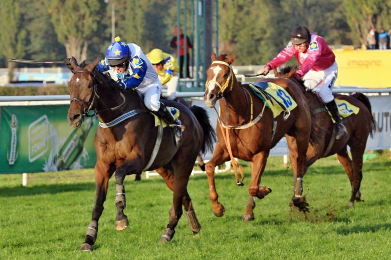 Žokej Marek Stromský v sedle Nikase na loňské Velké pardubické.